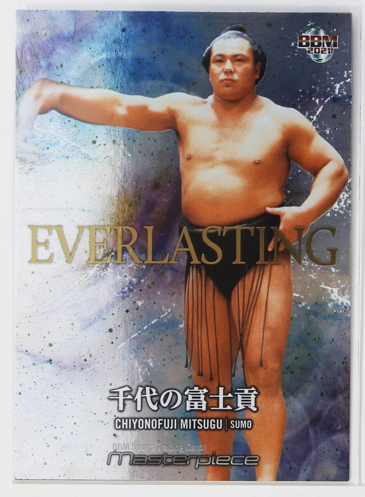 🏆 요코즈나 치요노야마・치요노후지 기념관 (Yokozuna Chiyonoyama & Chiyonofuji Memorial Museum) 이미지 8